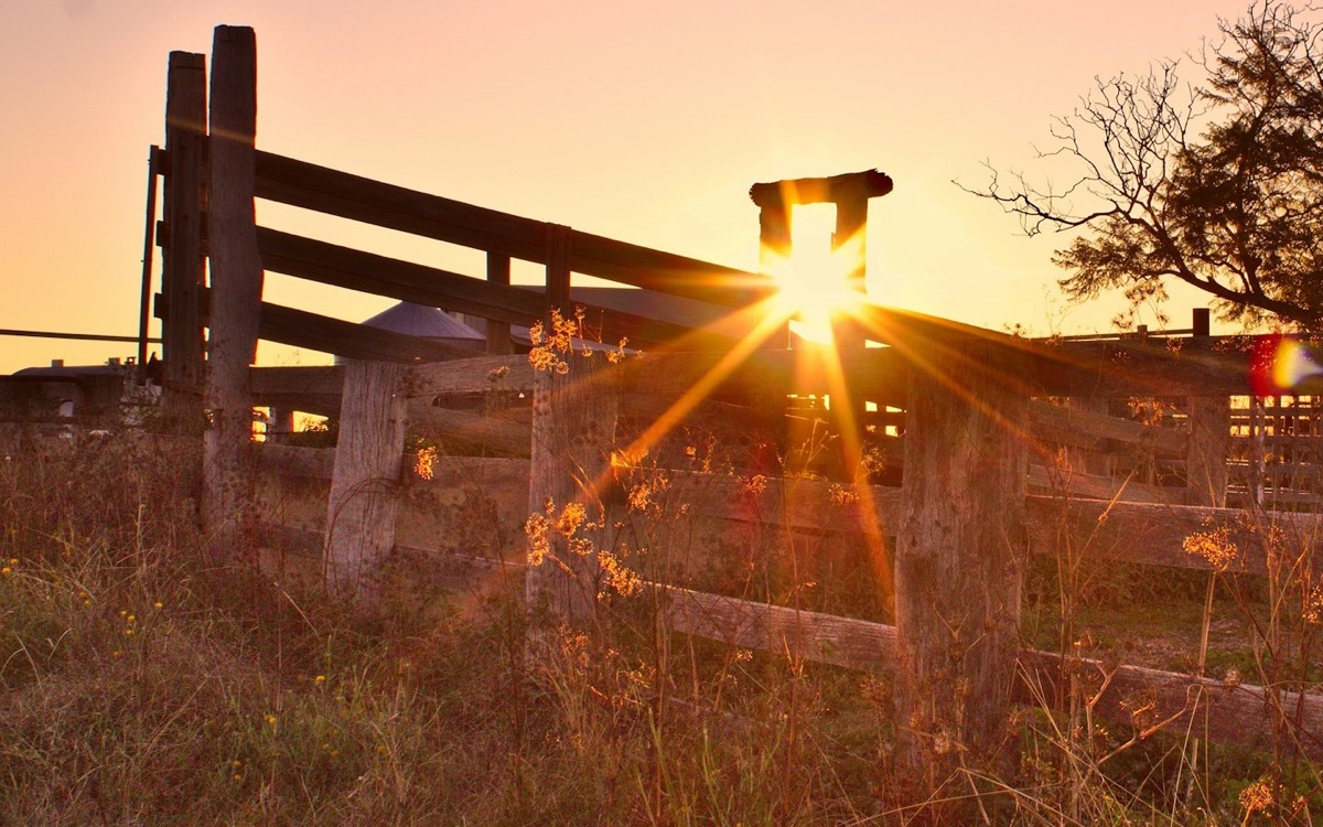 An open ranch gate at sunrise, the range beyond it wide open
